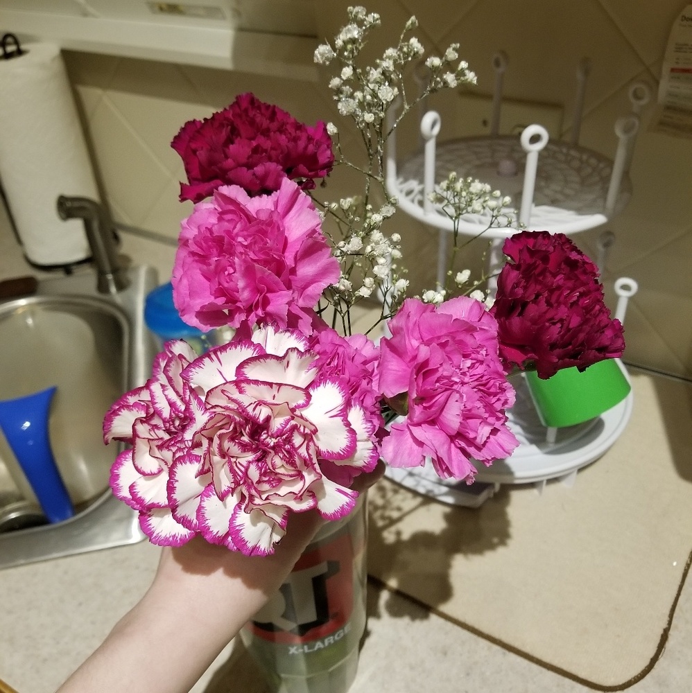 Meet your Posher, Chelsea